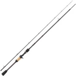 CANNE CASTING BERKLEY E-MOTION