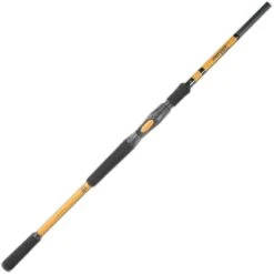 CANNE CASTING BFT INSTINCT