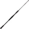 CANNE CASTING BFT RAPTOR G2 SWIMBAIT -La Pêche Passion canne casting bft raptor g2 swimbait z 2651 265155