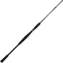 CANNE CASTING BFT RAPTOR G2 SWIMBAIT