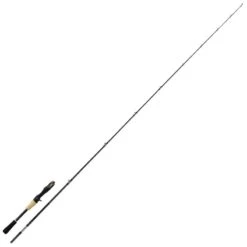 CANNE CASTING SHIMANO ROD SUSTAIN CASTING FAST