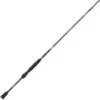 CANNE SPINNING ABU GARCIA IKE SIGN ROD -La Pêche Passion canne spinning abu garcia ike sign rod z 2079 207996