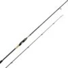 CANNE SPINNING SHIMANO ROD SUSTAIN SPINNING FAST