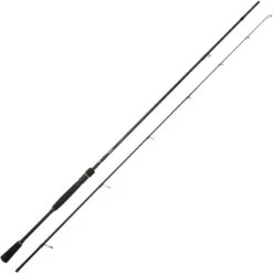 CANNE SPINNING SPRO SPX JIG