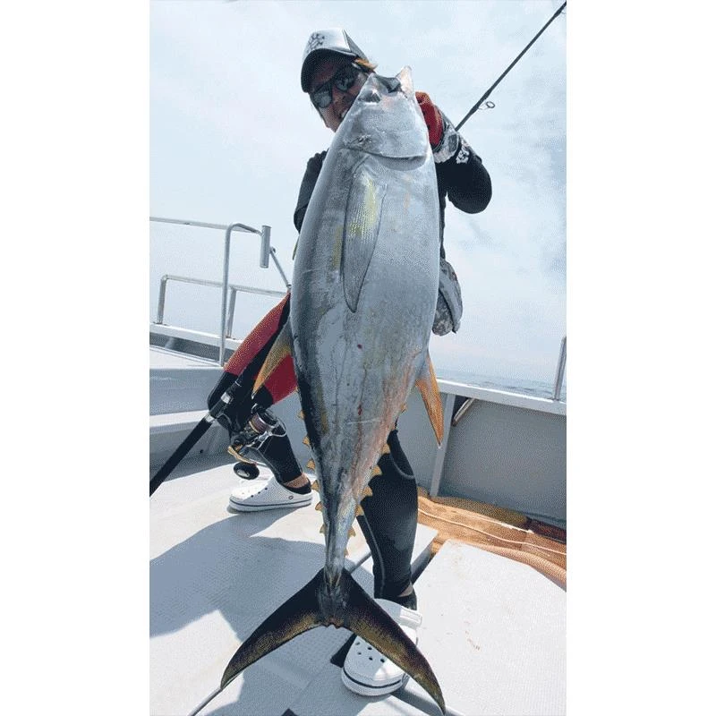 CANNE SPINNING TAILWALK KUROSHIO OC 80H 5 CANNE SPINNING TAILWALK KUROSHIO OC 80H – Image 3