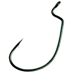 HAMECON TEXAN ASARI CAROLINA - PAR 10